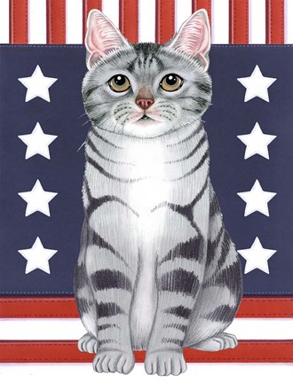 Framed Patriot Cat Print