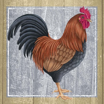 Framed Chicken 1 Print