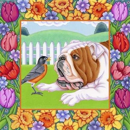 Framed Robin Bulldog Print