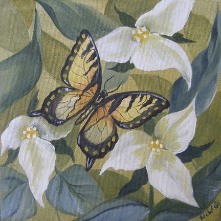 Framed Large Butterfly and Trillium Print