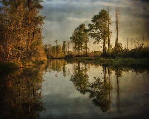 Framed Swamp Land 1 Print