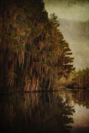 Framed Swamp Land 2 Print