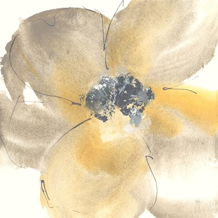 Framed Flower Tones II Print