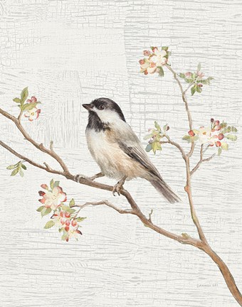 Framed Black Capped Chickadee Vintage v2 Print
