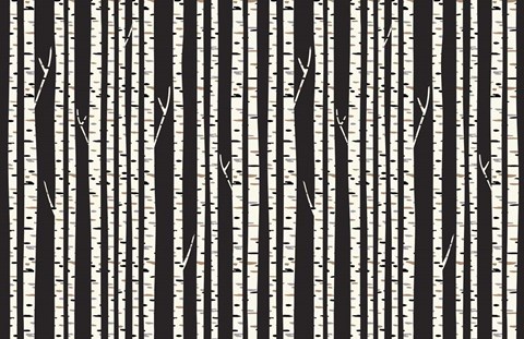 Framed Birch Trees Print