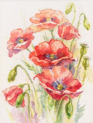 Framed Red Poppies Print