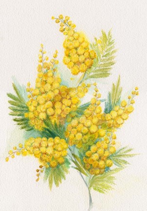 Framed Yellow Blooms Print