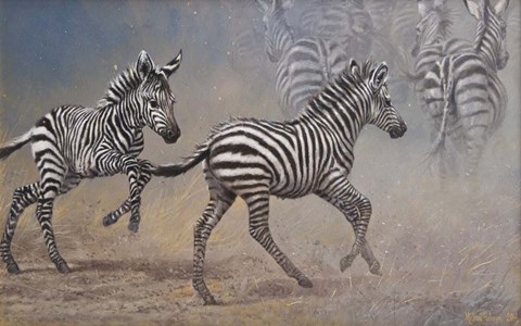 Framed Zebras Print
