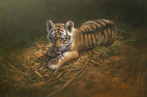 Framed Tiger Cub Print