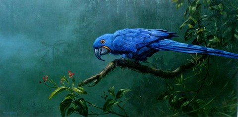 Framed Hyacinth Print