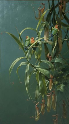 Framed Lovebirds Print