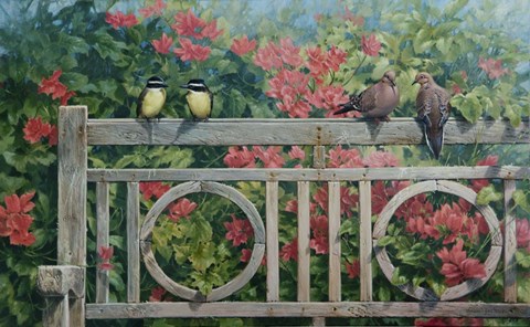 Framed Park Bench Print