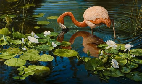 Framed Reflections Print