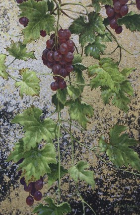 Framed Grapes Print