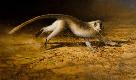 Framed Catch me if you can Print