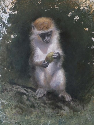 Framed Curious Monkey Print