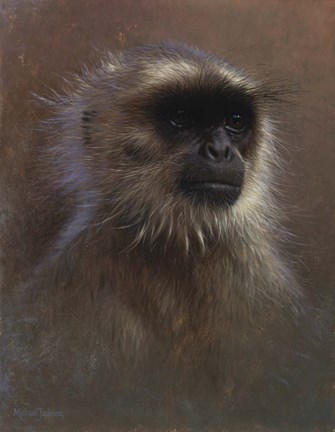 Framed Monkey Portrait Print
