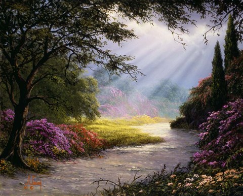 Framed Bright Rays Print