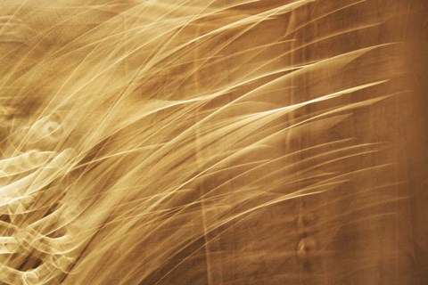 Framed Poesia En Monocromo 8 Print