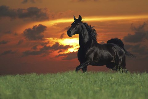 Framed Distant Thunder Print