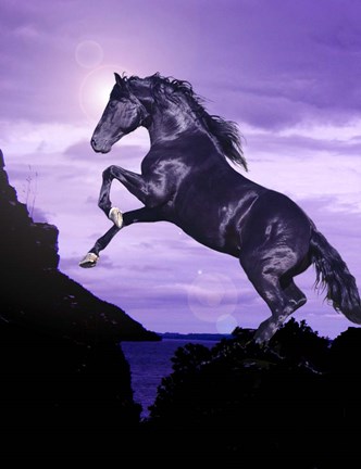 Framed Leap Of Faith Print