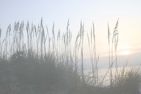 Framed Morning Whisper I Print