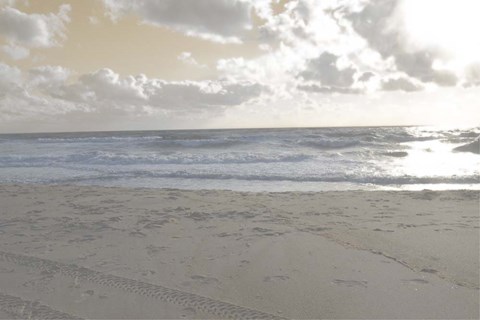 Framed Serene Sea II Print