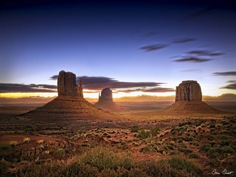 Framed Pink Morning Glory II Print