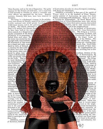 Framed Dachshund in Pink Hat and Scarf Print