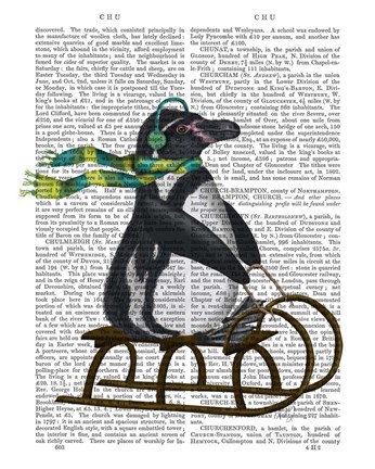 Framed Penguin On Sled Print