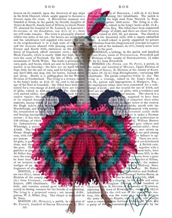 Framed Ostrich, Can Can in Pink and Turquoise Print