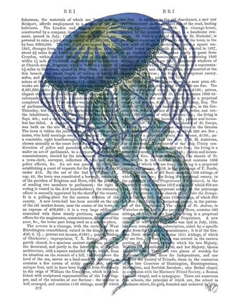 Framed Blue Jellyfish 1 Print