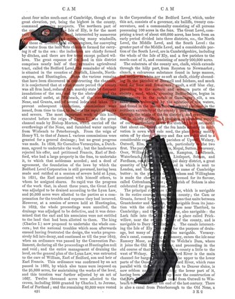 Framed Flamingo with Kinky Boots Print