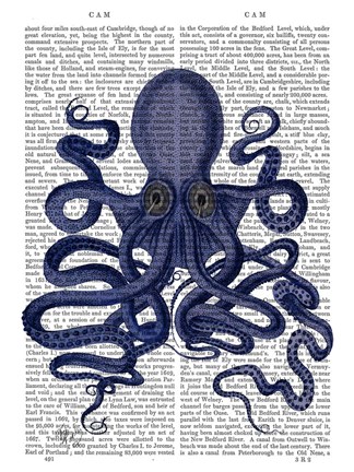 Framed Octopus 9, Blue Print