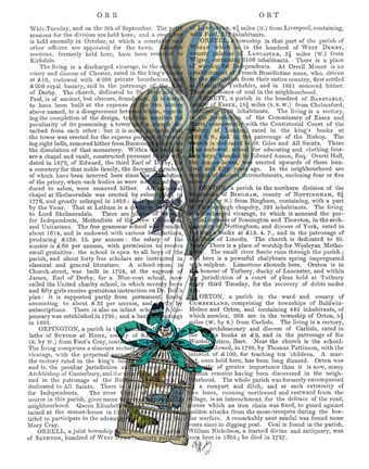 Framed Balloon and Bird Cage 2 Print