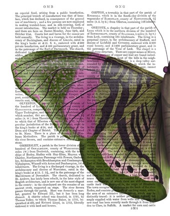 Framed Butterfly in Green and Pink a Print