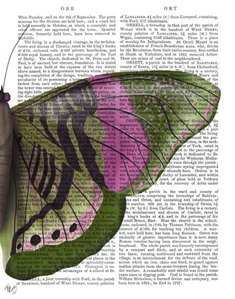 Framed Butterfly in Green and Pink b Print