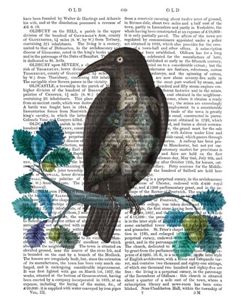Framed Floral Crow On Branch Print