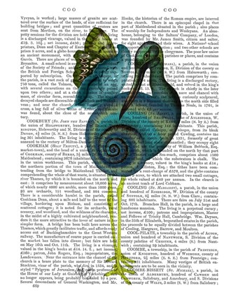 Framed Snail Bird Print