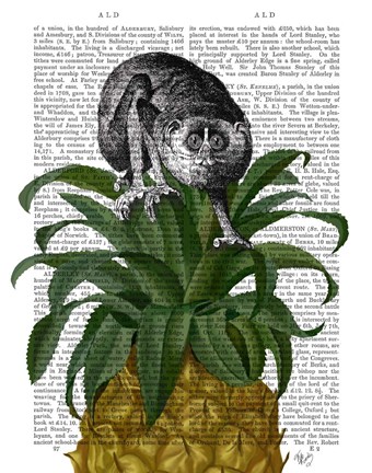 Framed Loris on Pineapple Print