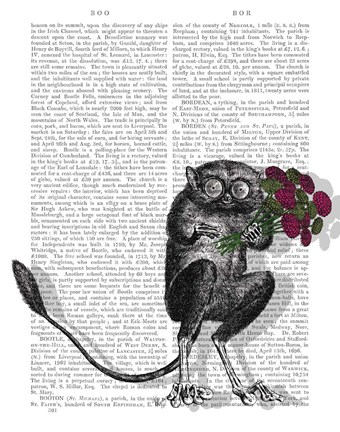 Framed Freaky Flowers Print