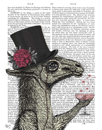 Framed Llama Lush 1 Print