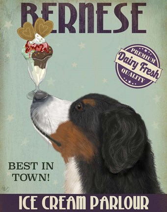 Framed Bernese Ice Cream Print