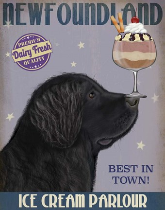 Framed Newfoundland Ice Cream Print