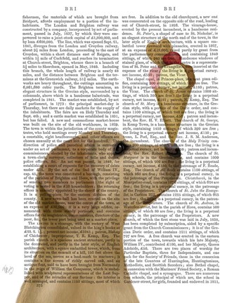 Framed Yellow Labrador Ice Cream Print