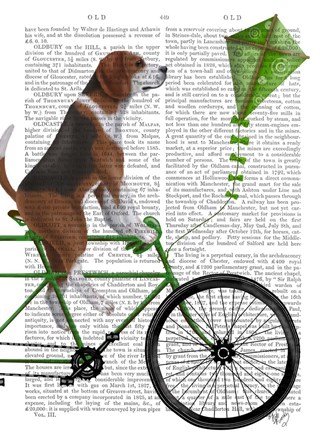 Framed Beagle on Bicycle Print