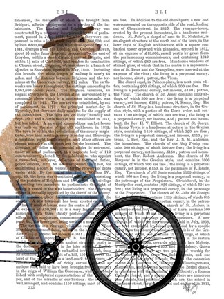 Framed Poodle on Bicycle, Cream Print