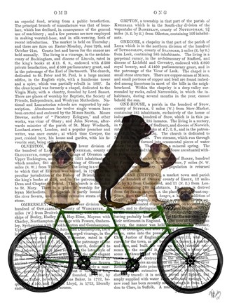 Framed Pug Tandem Print