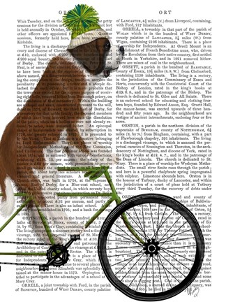 Framed St Bernard on Bicycle Print