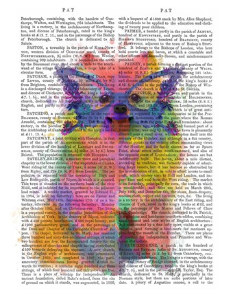 Framed Rainbow Splash Pomeranian Print